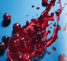 provadent - cranberry extract 267x245