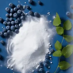 provadent - organic xylitol 252x249