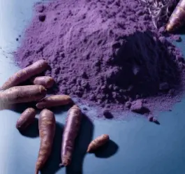 provadent - purple carrot powder 265x249